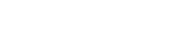 Fiverr Pro