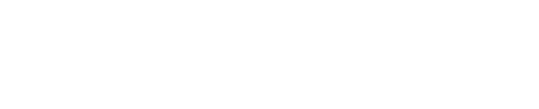 Fiverr Pro